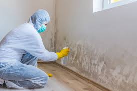  Forsyth, IL Mold Removal Services Pros