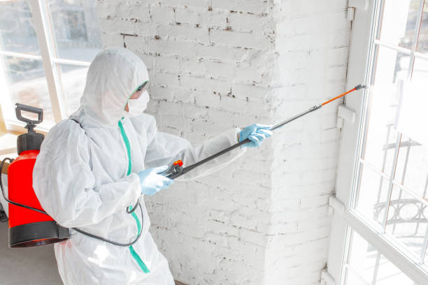 Best Emergency Mold Remediation  in Forsyth, IL